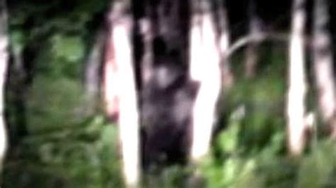 Videos Claim To Show Bigfoot Sighting In Utah Fox8 Wghp