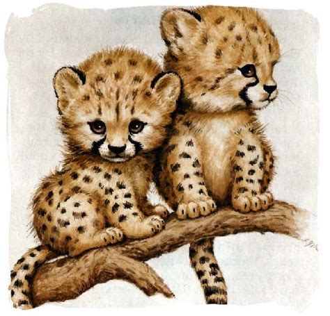 Cheetah Drawing Easy Cute Learn How To Draw A Cheetah Face For Kids