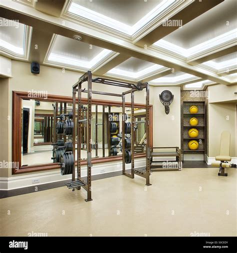 Luxury Home Gym Stock Photo Alamy