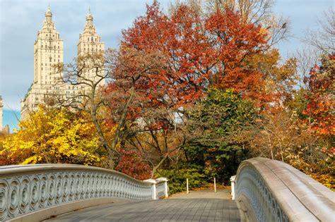 Fall In Love With New York City Metronest Blog
