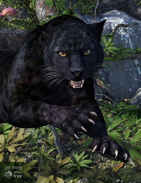 Cwrw Black Panther For The Hivewire Big Cat A Cwrw