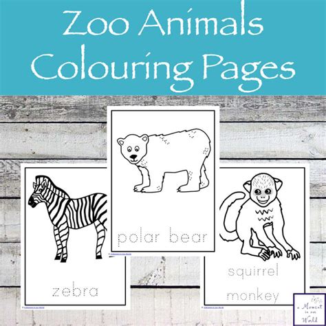 Zoo Animals Colouring Pages Simple Living Creative Learning