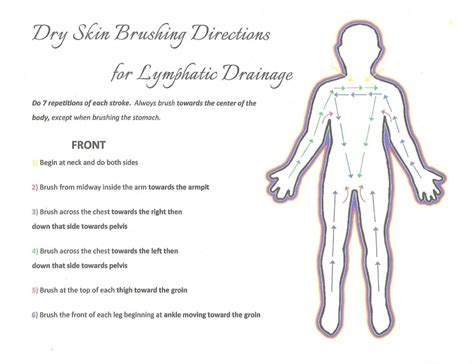 Dry Skin Brushing For Healthy Lymph Flow