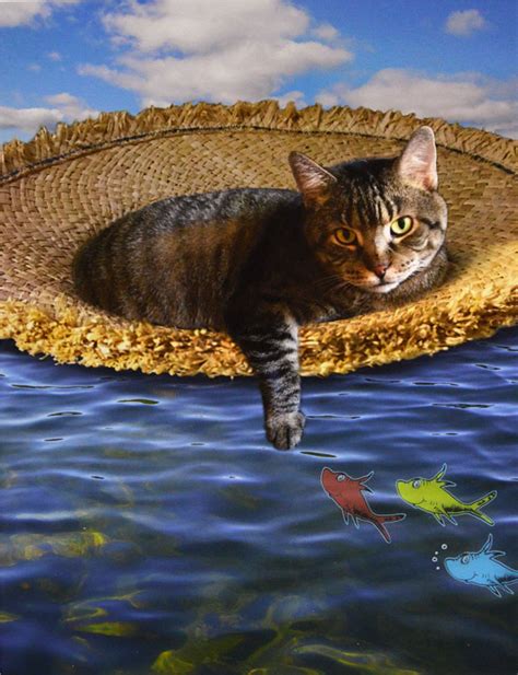 Fish One Two Three An A Cat Floating In The Sea R Michelson Galleries