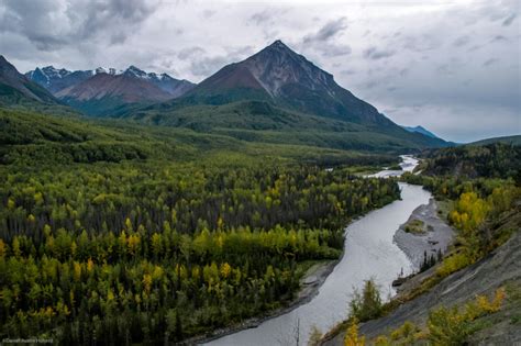 Alaskas State Forests Are Incredible Facts And Photos
