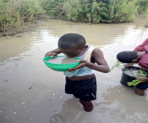 Fact-check: Viral picture of boy drinking polluted water not from Niger Delta | Dailytrust