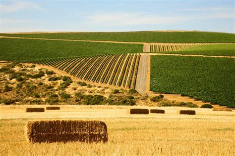 Farmland After The Harvest Stock Image Image Of Grass 10269499