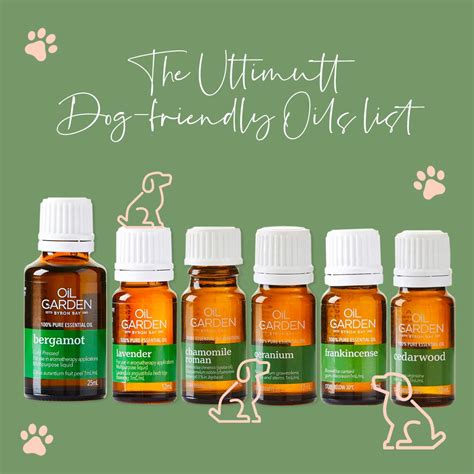 How To Use Essential Oils Safely Around Pets Australian Dog Lover