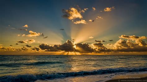 Good Morning Miami Miami Beach Florida Wanna See A Beautiful Sunrise