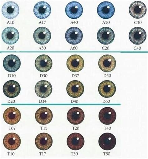 Whats Your Eye Color Number Eye Color Chart Eye Color Chart