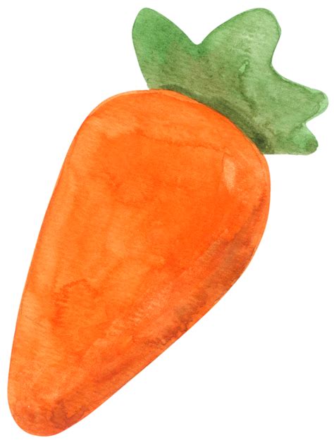Carrot Watercolor Cartoon 10180946 Png