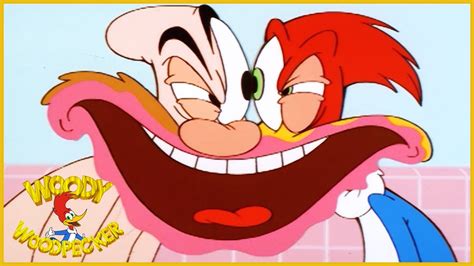Woody Woodpecker Show Woody Vs Wally Best Moments Funny Moments