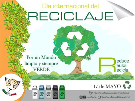 Mexifauna D A Internacional Del Reciclaje