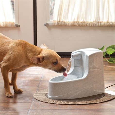 These elegant cordless fountain are handmade, skillfully crafted, and perfect for elevated garden decorations. PetSafe Drinkwell Mini Pet Fountain | Pet water fountain ...