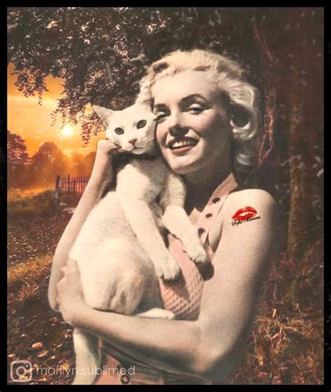 A Woman Holding A White Cat In Her Arms And Smiling At The Camera With An Orange Sunset Behind Her