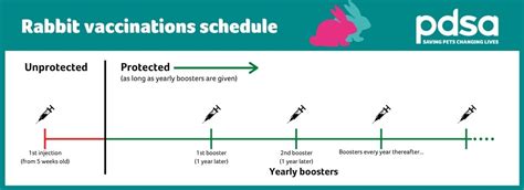 Rabbit Vaccines Pdsa