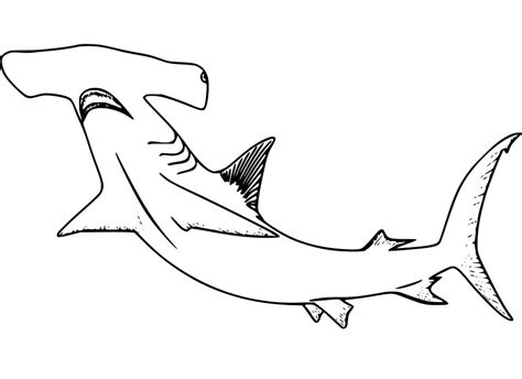 Hammerhead Shark Smiling Coloring Page - Free Printable Coloring Pages