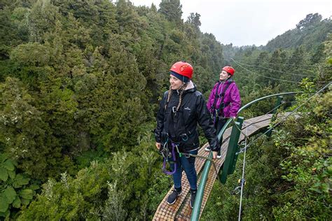 Rotorua Canopy Tours Book Here Nz Travel Organiser