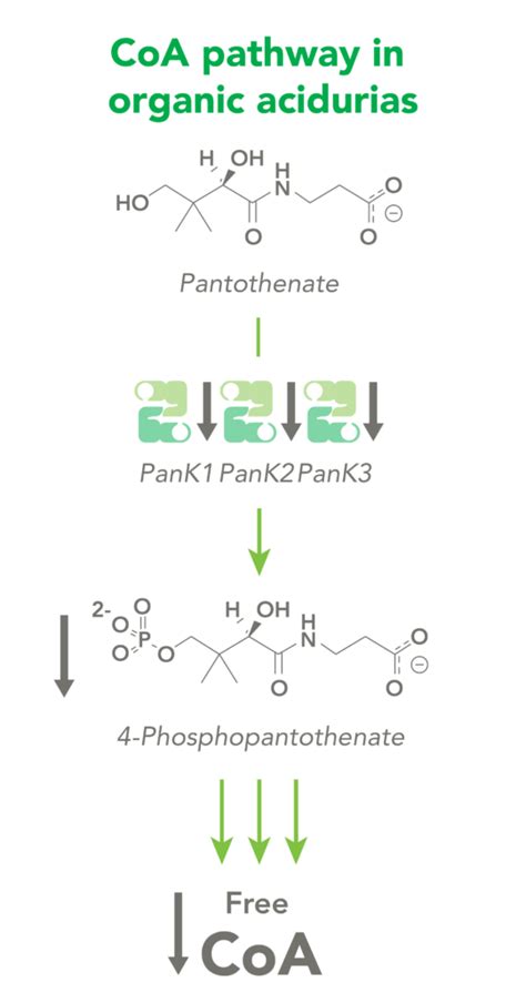 Home | CoA Therapeutics