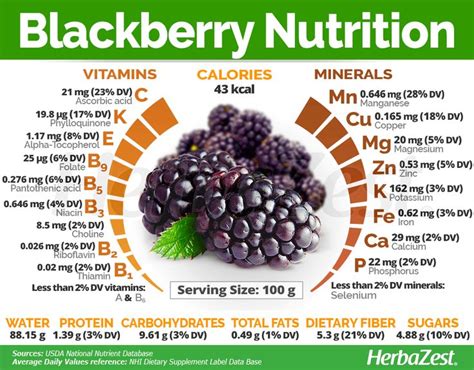 Blackberry Nutrition Planes De Alimentación Saludables Frutas Y