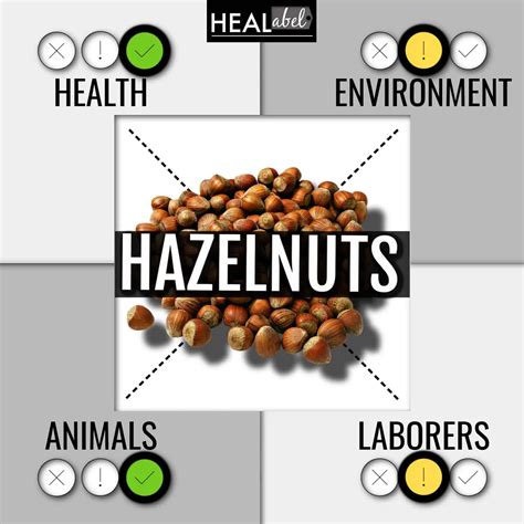 Hazelnut Benefits Side Effects Low Fodmap Acidic Or Alkaline