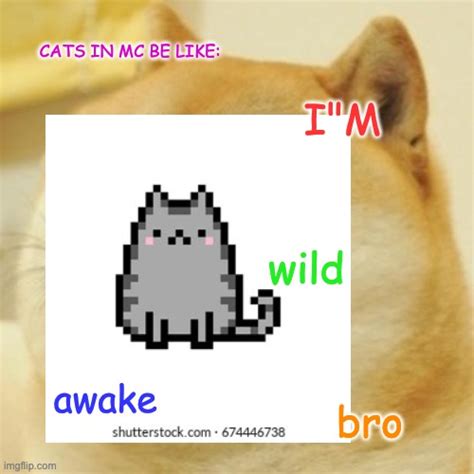 Bro Imgflip
