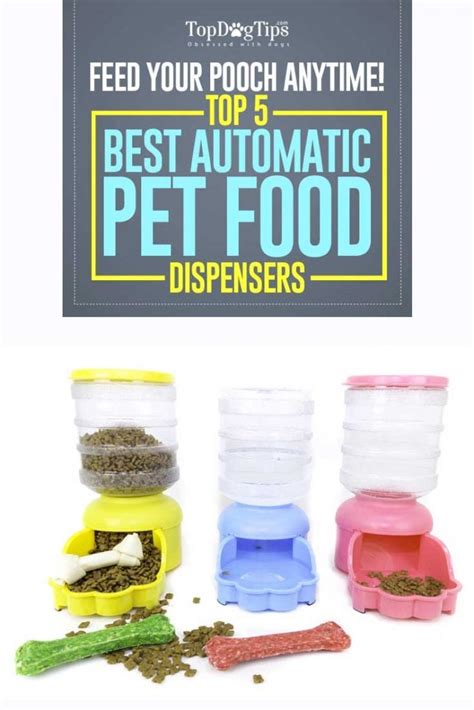 Top 8 Best Automatic Dog Food Dispenser Brands