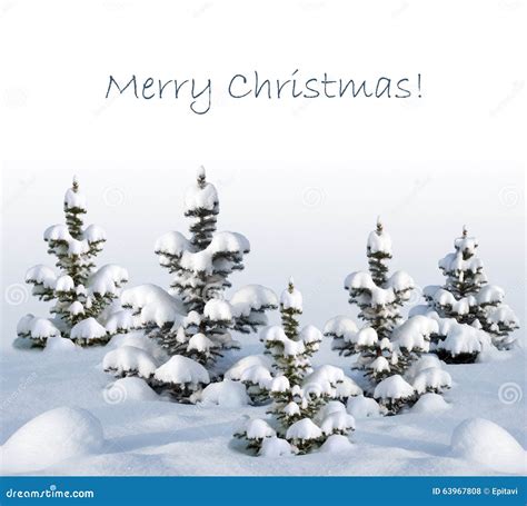 Christmas Card With Fir Trees Stock Photo Image Of Climate Christmas