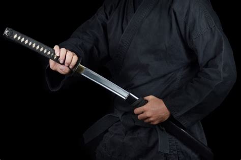 Test Your Knowledge Of Bujinkan The Japanese Martial Arts System