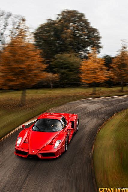 Ferrari Enzo Goes For An Autumn Drive Sports Car Brands Sports Cars