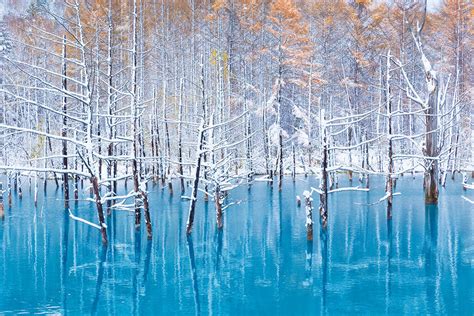 Blue Pond Shirogane Biei Hokkaido A4jp Travel Guide
