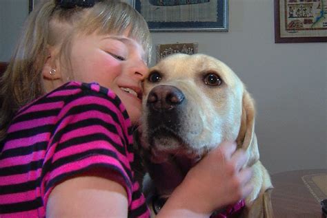 Petpost is a free pet classifieds to post pets and animals locally across canada. 25535285.jpg