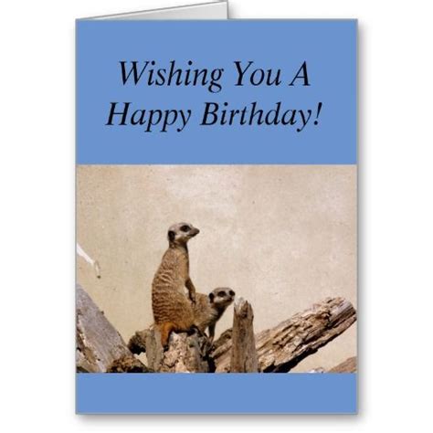 Meerkats Happy Birthday Greeting Card Zazzle Happy Birthday