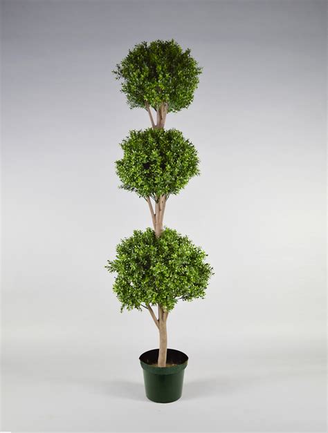 3 Ball Boxwood Topiary Large West Coast Event Productions Inc