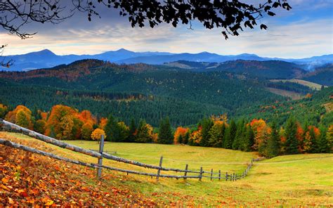 Wallpaper Forest Trees Mountains Grass Leaves Autumn Countryside