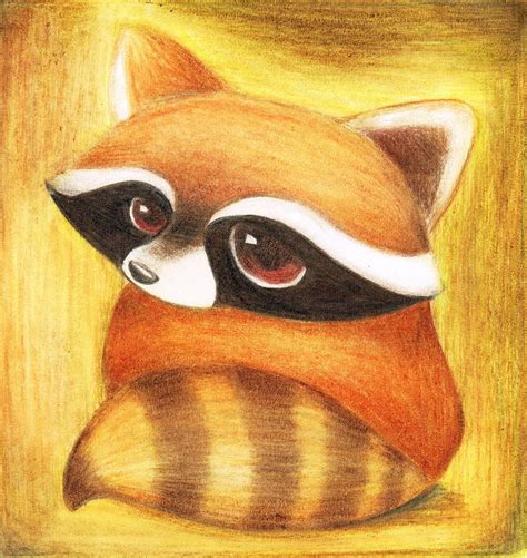 Raccoon Animal Drawings Animal Illustration Animal Art