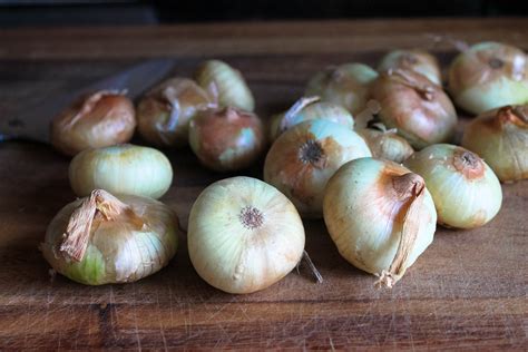 Balsamic Roasted Cipollini Onions