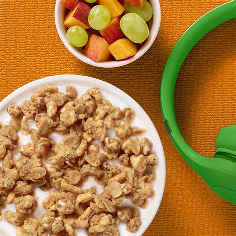 Buy Kashi Go Breakfast Cereal Vegan Protein Fiber Cereal Peanut