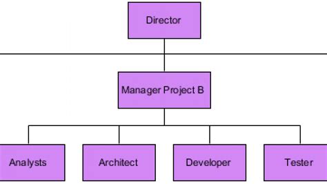 What Is Project Organizational Structure Organizational Structure For