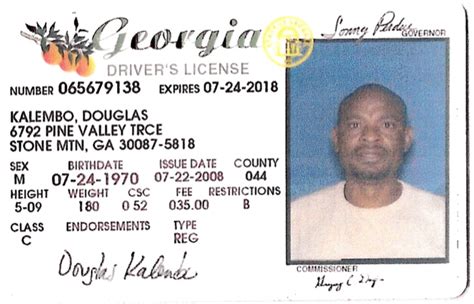 I Lost My Drivers License Il Georgia License Test Requirements