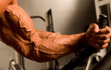 How To Make Your Veins Pop Out Quickly