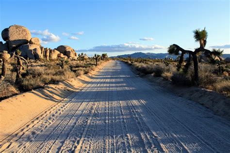 Joshua Tree National Park Ca The Best Road Trips In The Us To Take