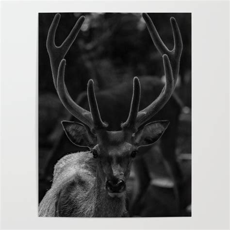 The Antlers Black And White Poster By Nocolordesigns Society6