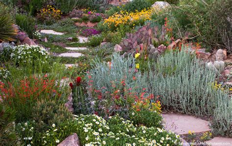 2601 central ave nw, albuquerque, nm 87104, usa. Photo Contest at High Country Gardens