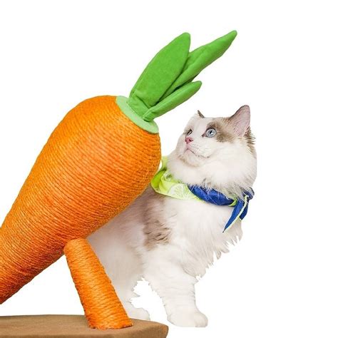 Carrot Shape Cat Scratching Post Sisal Cat Scratcher Cat Scratching