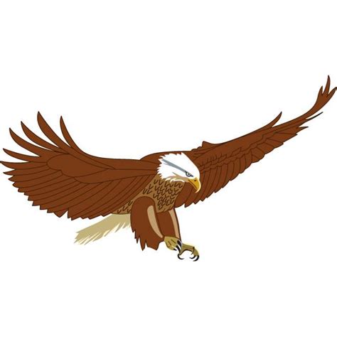 Flying Eagle Royalty Free Stock Svg Vector