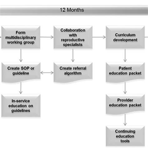 Flow Chart Depicting Strategy And Processes Of Oerp Implementation