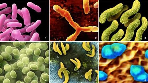 20 Freaky Facts About Germs That You Should Know