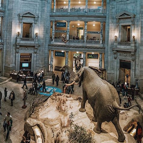 Tour Of The Smithsonian Museum Of Natural History And National Gallery
