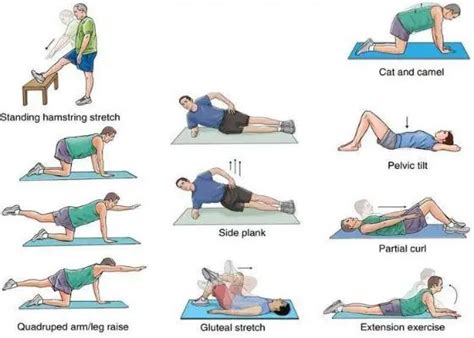 The Best Slipped Disc Treatment Exercises Joint Pain Clinic